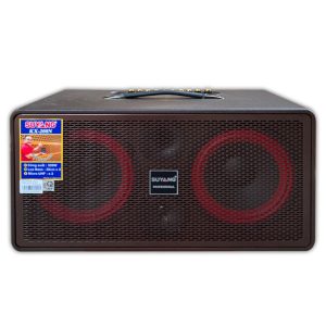 Loa Xách Tay Mini <br> KX-208N </br>