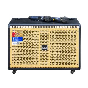 Loa Kéo Điện 2,5 Tấc Đôi K-110