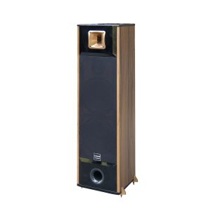 Loa đứng D-600