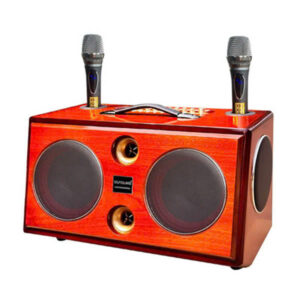 Loa bình xách tay KX-308